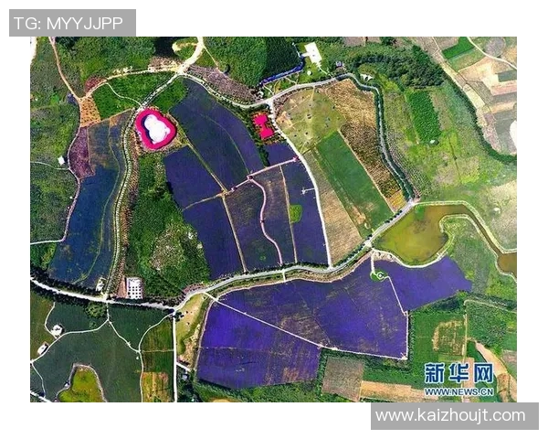 武汉三镇协同发展新格局探索推动城市经济文化多元化融合新篇章 武汉三镇协同发展新格局探索推动城市经济文化多元化融合新篇章